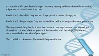 Assumptions: If a population is large, randomly mating, and not affected by mutation,
migration, or natural selection, then
Prediction 1: the allelic frequencies of a population do not change; and
Prediction 2: the genotypic frequencies stabilize (will not change) after one generation
The Hardy–Weinberg law indicates that, when its assumptions are met, reproduction
alone does not alter allelic or genotypic frequencies, and the allelic frequencies
determine the frequencies of genotypes.
This condition is known as Hardy-Weinberg equilibrium.
 