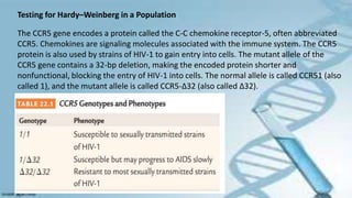 Testing for Hardy–Weinberg in a Population
The CCR5 gene encodes a protein called the C-C chemokine receptor-5, often abbreviated
CCR5. Chemokines are signaling molecules associated with the immune system. The CCR5
protein is also used by strains of HIV-1 to gain entry into cells. The mutant allele of the
CCR5 gene contains a 32-bp deletion, making the encoded protein shorter and
nonfunctional, blocking the entry of HIV-1 into cells. The normal allele is called CCR51 (also
called 1), and the mutant allele is called CCR5-∆32 (also called ∆32).
 
