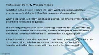 Implications of the Hardy–Weinberg Principle
Population cannot evolve if it meets the Hardy–Weinberg assumptions because
evolution consists of change in the allelic frequencies of a population.
When a population is in Hardy–Weinberg equilibrium, the genotypic frequencies are
determined by the allelic frequencies.
The fact that genotypes are in Hardy–Weinberg proportions does not prove that the
population is free from natural selection, mutation, and migration. It means only that
these forces have not acted since the last time random mating took place.
A final implication is that when a population is not in Hardy Weinberg equilibrium, one
of the assumptions of the law has not been met, although without further
investigation it will not be apparent which assumption has been violated.
 