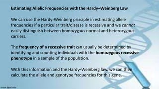 Estimating Allelic Frequencies with the Hardy–Weinberg Law
We can use the Hardy-Weinberg principle in estimating allele
frequencies if a particular trait/disease is recessive and we cannot
easily distinguish between homozygous normal and heterozygous
carriers.
The frequency of a recessive trait can usually be determined by
identifying and counting individuals with the homozygous recessive
phenotype in a sample of the population.
With this information and the Hardy–Weinberg law, we can then
calculate the allele and genotype frequencies for this gene.
 