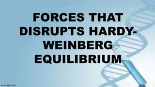 FORCES THAT
DISRUPTS HARDY-
WEINBERG
EQUILIBRIUM
 