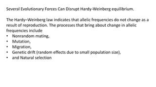 Several Evolutionary Forces Can Disrupt Hardy-Weinberg equilibrium.
The Hardy–Weinberg law indicates that allelic frequencies do not change as a
result of reproduction. The processes that bring about change in allelic
frequencies include
• Nonrandom mating,
• Mutation,
• Migration,
• Genetic drift (random effects due to small population size),
• and Natural selection
 