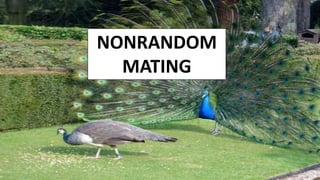 NONRANDOM
MATING
 