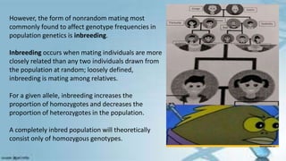 However, the form of nonrandom mating most
commonly found to affect genotype frequencies in
population genetics is inbreeding.
Inbreeding occurs when mating individuals are more
closely related than any two individuals drawn from
the population at random; loosely defined,
inbreeding is mating among relatives.
For a given allele, inbreeding increases the
proportion of homozygotes and decreases the
proportion of heterozygotes in the population.
A completely inbred population will theoretically
consist only of homozygous genotypes.
 