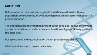 MUTATION
Before evolution can take place, genetic variation must exist within a
population; consequently, all evolution depends on processes that generate
genetic variation.
The enormous genetic variation present in the gene pool allows assortment
and recombination to produce new combinations of genes already present in
the gene pool.
But assortment and recombination do not produce new alleles.
Mutation alone acts to create new alleles.
 