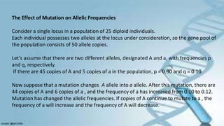 The Effect of Mutation on Allelic Frequencies
Consider a single locus in a population of 25 diploid individuals.
Each individual possesses two alleles at the locus under consideration, so the gene pool of
the population consists of 50 allele copies.
Let’s assume that there are two different alleles, designated A and a, with frequencies p
and q, respectively.
If there are 45 copies of A and 5 copies of a in the population, p = 0.90 and q = 0.10.
Now suppose that a mutation changes A allele into a allele. After this mutation, there are
44 copies of A and 6 copies of a , and the frequency of a has increased from 0.10 to 0.12.
Mutation has changed the allelic frequencies. If copies of A continue to mutate to a , the
frequency of a will increase and the frequency of A will decrease.
 