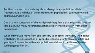 Another process that may bring about change in a population’s allelic
frequencies is the influx of genes from other populations, commonly called
migration or gene flow.
One of the assumptions of the Hardy–Weinberg law is that migration does not
take place, but many natural populations experience migration from other
populations.
When individuals move from one territory to another, they carry their genes
with them. The introduction of genes by recent migrants can alter allele and
genotype frequencies within a population and disrupt the state of Hardy–
Weinberg equilibrium.
 