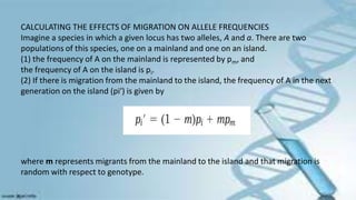 CALCULATING THE EFFECTS OF MIGRATION ON ALLELE FREQUENCIES
Imagine a species in which a given locus has two alleles, A and a. There are two
populations of this species, one on a mainland and one on an island.
(1) the frequency of A on the mainland is represented by pm, and
the frequency of A on the island is pi.
(2) If there is migration from the mainland to the island, the frequency of A in the next
generation on the island (pi′) is given by
where m represents migrants from the mainland to the island and that migration is
random with respect to genotype.
 