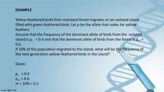 EXAMPLE
Yellow-feathered birds from mainland forest migrates on an isolated island
filled with green-feathered birds. Let p be the allele that codes for yellow
feathers.
Assume that the frequency of the dominant allele of birds from the isolated
island is pi = 0.4 and that the dominant allele of birds from the forest is pm =
0.6.
If 10% of the population migrated to the island, what will be the frequency of
the next generation yellow-feathered birds in the island?
Given:
pi = 0.4
pm = 0.6.
m = 10% = 0.1
 