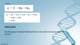 Solution:
CONCLUSION
The frequency of yellow-feathered birds in the island increased, from 0.4
to 0.42.
 