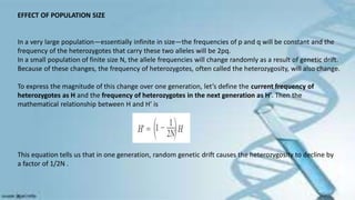 EFFECT OF POPULATION SIZE
In a very large population—essentially infinite in size—the frequencies of p and q will be constant and the
frequency of the heterozygotes that carry these two alleles will be 2pq.
In a small population of finite size N, the allele frequencies will change randomly as a result of genetic drift.
Because of these changes, the frequency of heterozygotes, often called the heterozygosity, will also change.
To express the magnitude of this change over one generation, let’s define the current frequency of
heterozygotes as H and the frequency of heterozygotes in the next generation as H’. Then the
mathematical relationship between H and H’ is
This equation tells us that in one generation, random genetic drift causes the heterozygosity to decline by
a factor of 1/2N .
 