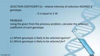 SELECTION COEFFICIENT (s) - relative intensity of selection AGAINST a
genotype.
- it is equal to 1-W
PROBLEM:
Using the given from the previous problem, calculate the selection
coefficient of each genotype
a.) Which genotype is likely to be selected against?
b.) Which genotype is likely to be selected for?
 