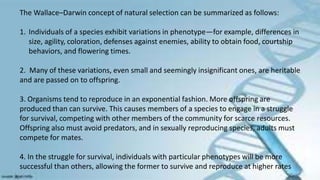 The Wallace–Darwin concept of natural selection can be summarized as follows:
1. Individuals of a species exhibit variations in phenotype—for example, differences in
size, agility, coloration, defenses against enemies, ability to obtain food, courtship
behaviors, and flowering times.
2. Many of these variations, even small and seemingly insignificant ones, are heritable
and are passed on to offspring.
3. Organisms tend to reproduce in an exponential fashion. More offspring are
produced than can survive. This causes members of a species to engage in a struggle
for survival, competing with other members of the community for scarce resources.
Offspring also must avoid predators, and in sexually reproducing species, adults must
compete for mates.
4. In the struggle for survival, individuals with particular phenotypes will be more
successful than others, allowing the former to survive and reproduce at higher rates
 