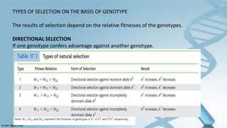 TYPES OF SELECTION ON THE BASIS OF GENOTYPE
The results of selection depend on the relative fitnesses of the genotypes.
DIRECTIONAL SELECTION
If one genotype confers advantage against another genotype.
 