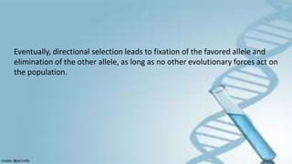 Eventually, directional selection leads to fixation of the favored allele and
elimination of the other allele, as long as no other evolutionary forces act on
the population.
 