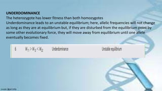 UNDERDOMINANCE
The heterozygote has lower fitness than both homozygotes
Underdominance leads to an unstable equilibrium; here, allelic frequencies will not change
as long as they are at equilibrium but, if they are disturbed from the equilibrium point by
some other evolutionary force, they will move away from equilibrium until one allele
eventually becomes fixed.
 