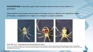 POLYMORPHISM to describe a gene that commonly exists as two or more alleles in a
population.
Polymorphism may involve various types of changes such as a deletion of a significant region
of the gene, a duplication of a region, or a change in a single nucleotide.
 