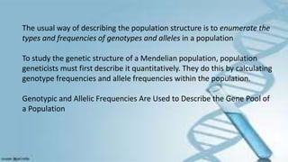 The usual way of describing the population structure is to enumerate the
types and frequencies of genotypes and alleles in a population
To study the genetic structure of a Mendelian population, population
geneticists must first describe it quantitatively. They do this by calculating
genotype frequencies and allele frequencies within the population.
Genotypic and Allelic Frequencies Are Used to Describe the Gene Pool of
a Population
 