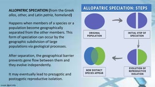 ALLOPATRIC SPECIATION (from the Greek
allos, other, and Latin patria, homeland)
Happens when members of a species or a
population become geographically
separated from the other members. This
form of speciation can occur by the
geographic subdivision of large
populations via geological processes.
After separation, the geographical barrier
prevents gene flow between them and
they evolve independently.
It may eventually lead to prezygotic and
postzygotic reproductive isolation.
 