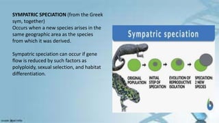 SYMPATRIC SPECIATION (from the Greek
sym, together)
Occurs when a new species arises in the
same geographic area as the species
from which it was derived.
Sympatric speciation can occur if gene
flow is reduced by such factors as
polyploidy, sexual selection, and habitat
differentiation.
 