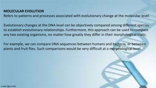 MOLECULAR EVOLUTION
Refers to patterns and processes associated with evolutionary change at the molecular level.
Evolutionary changes at the DNA level can be objectively compared among different species
to establish evolutionary relationships. Furthermore, this approach can be used to compare
any two existing organisms, no matter how greatly they differ in their morphological traits.
For example, we can compare DNA sequences between humans and bacteria, or between
plants and fruit flies. Such comparisons would be very difficult at a morphological level.
 