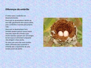 Diferenças do embrião

O vitelo nutre o embrião em
desenvolvimento.
Ovos que se desenvolvem dentro da
ave mãe, geralmente têm pouco vitelo,
pois o embrião é nutrido pela própria
mãe.
Ovos que se desenvolvem fora,
também podem possuir pouco vitelo
caso eles sejam de animais cujos
recém nascidos passam por um estágio
larval e que se alimentam enquanto
não atingem a fase adulta.
Os ovos com casca das aves contêm
vitelo suficiente para sustentar o
embrião até o nascimento de uma
versão jovem do adulto
 