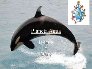 Planeta Agua
Ludmila
Y
Bruno
 