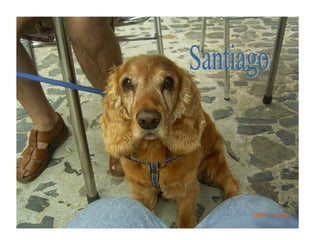 Santiago 