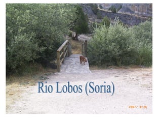 Rio Lobos (Soria) 