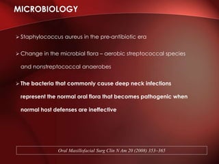  Staphylococcus aureus in the pre-antibiotic era
 Change in the microbial flora – aerobic streptococcal species
and nonstreptococcal anaerobes
 The bacteria that commonly cause deep neck infections
represent the normal oral flora that becomes pathogenic when
normal host defenses are ineffective
MICROBIOLOGY
Oral Maxillofacial Surg Clin N Am 20 (2008) 353–365
 