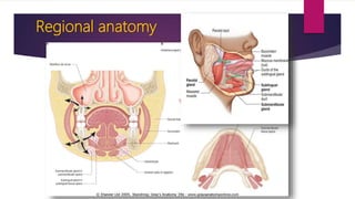 Regional anatomy
 