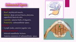 Boundaries-
 Roof: mylohyoid muscle.
 Inferior: deep cervical fascia, platysma,
superficial fascia & skin.
 Laterally: anterior belly of digastric.
 Posteriorly: submandibular space.
Contents-
 Lymph nodes, anterior jugular vein.
Etiology of infection-
 Infected mandibular incisors.
 Anterior extension of submandibular space.
 