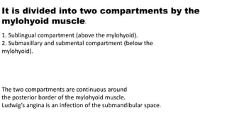 It is divided into two compartments by the
mylohyoid muscle:
1. Sublingual compartment (above the mylohyoid).
2. Submaxillary and submental compartment (below the
mylohyoid).
The two compartments are continuous around
the posterior border of the mylohyoid muscle.
Ludwig’s angina is an infection of the submandibular space.
 