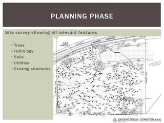 Considering Trees in Development Activities | PPTX