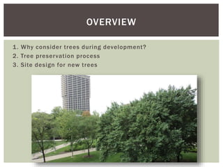 Considering Trees in Development Activities | PPTX