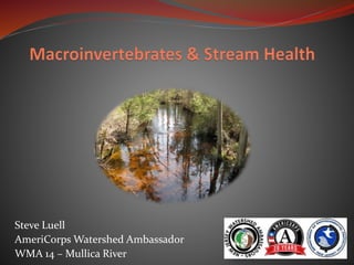 Steve Luell
AmeriCorps Watershed Ambassador
WMA 14 – Mullica River
 