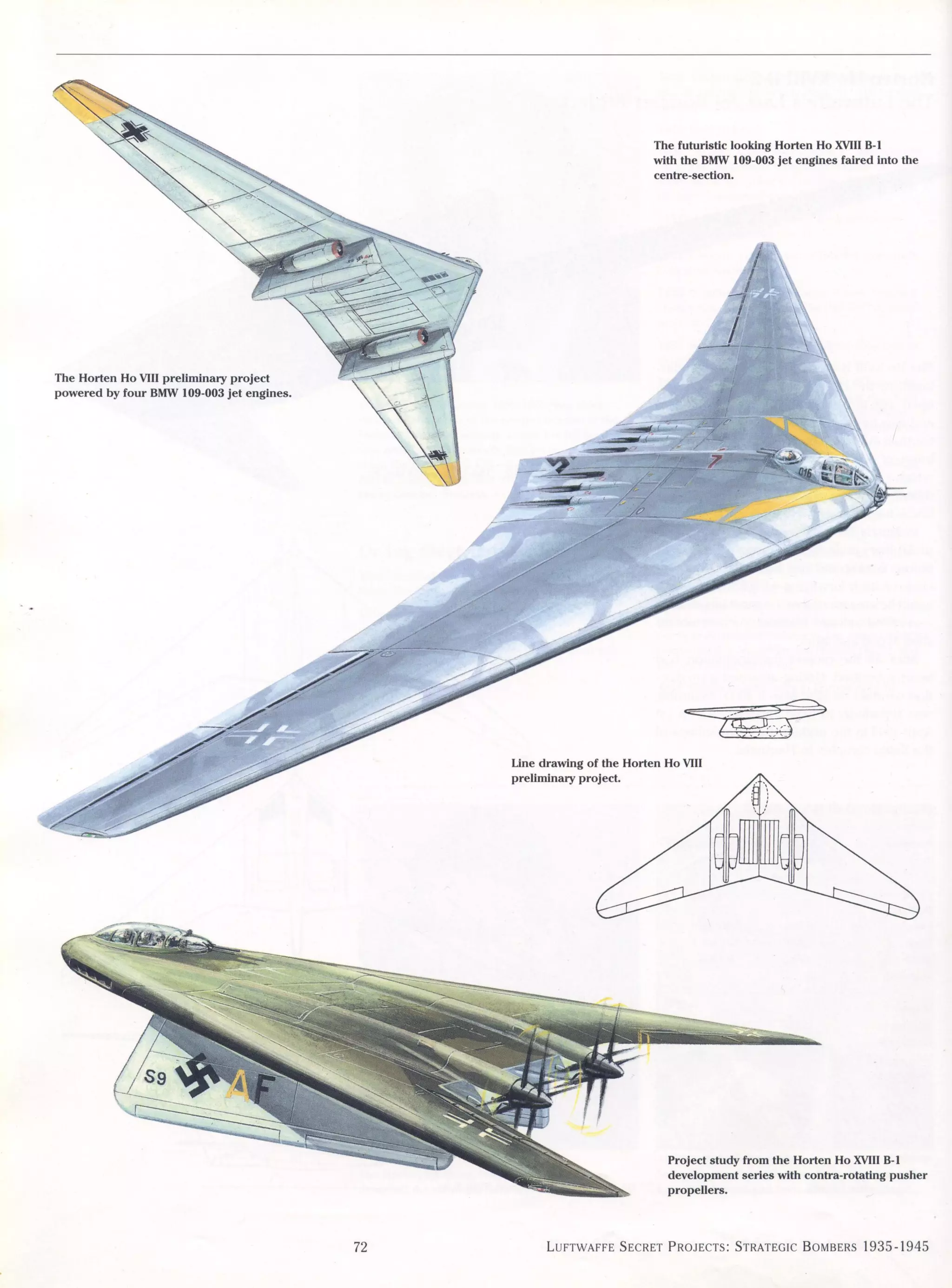 Luftwaffe: secret projects strategic bombers 1935-1945