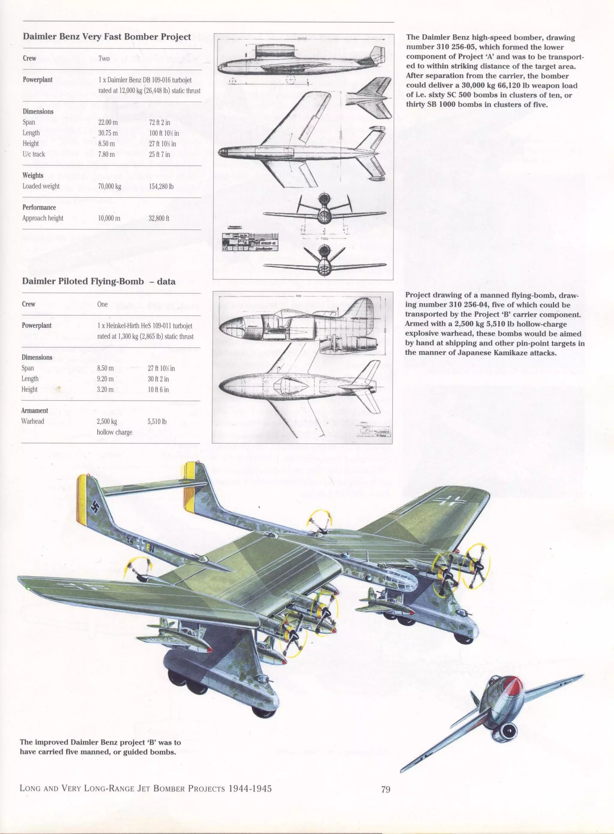 Luftwaffe: secret projects strategic bombers 1935-1945