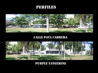 Al Este: Purple Tangerine