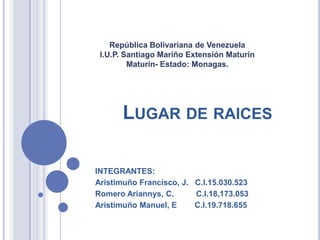 República Bolivariana de Venezuela
 I.U.P. Santiago Mariño Extensión Maturín
         Maturín- Estado: Monagas.




      LUGAR DE RAICES

INTEGRANTES:
Aristimuño Francisco, J. C.I.15.030.523
Romero Ariannys, C.      C.I.18,173.053
Aristimuño Manuel, E     C.I.19.718.655
 