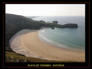 PLAYA DE TORIMBIA , ASTURIAS 