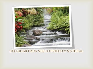UN LUGAR PARA VER LO FRESCO Y NATURAL
 