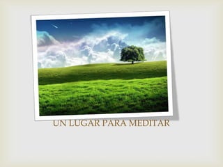 UN LUGAR PARA MEDITAR
 