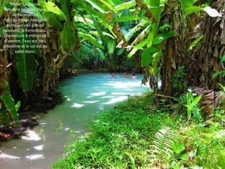 Brésil : La piscine
naturelle au sable blanc
de Fervedouro
Près du village Mateiros
se trouve une piscine
naturelle, la Fervedouro.
Elle mesure 8 mètres de
diamètre, l'eau est bleu
cristalline et le sol est du
sable blanc.
 