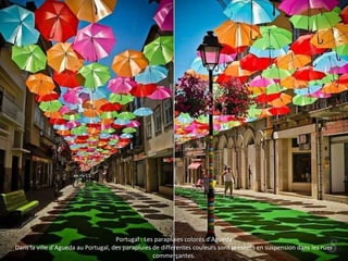 Portugal : Les parapluies colorés d’Agueda
Dans la ville d’Agueda au Portugal, des parapluies de différentes couleurs sont présents en suspension dans les rues
commerçantes.
 
