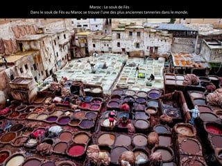 Maroc : Le souk de Fès
Dans le souk de Fès au Maroc se trouve l'une des plus anciennes tanneries dans le monde.
 