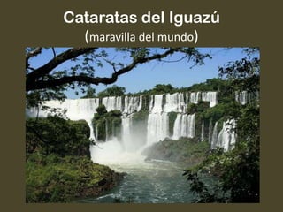 Cataratas del Iguazú
(maravilla del mundo)