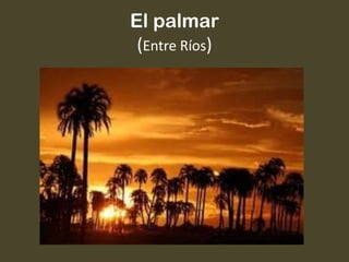El palmar
(Entre Ríos)