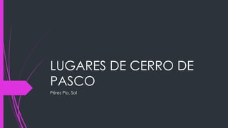 LUGARES DE CERRO DE 
PASCO 
Pérez Pio, Sol 
 