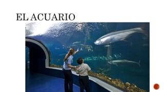 Lugares de la ciudad 2